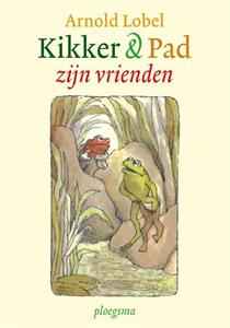 De verloren knoop (rekenleskist)