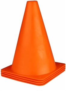 Pion oranje 18 cm hoog (4 st.)