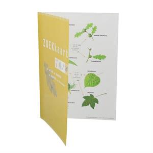 Zoekkaart Gallen op bladeren en knoppen (5st.)