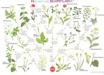 Zoekkaart Bermplanten (5st.)