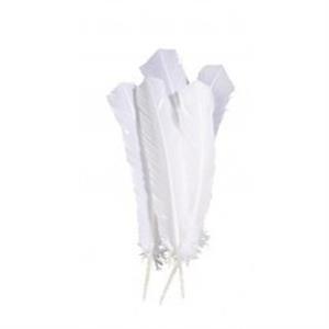 Ganzenveren wit (10st.) (attribuut)