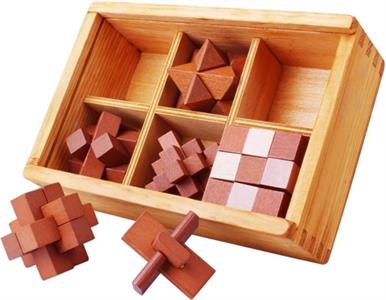 Set van 6 houten IQ-puzzels (leskist)