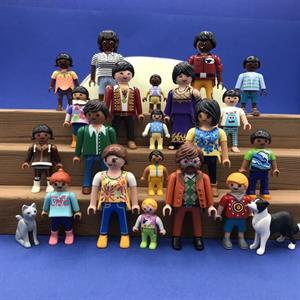 Huidskleuren (leskist)