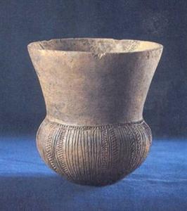 Trechterbekers (leskist)