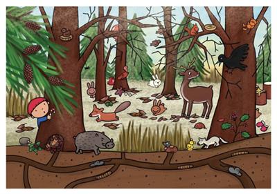 Winter - Dieren in het bos (praatplaat)