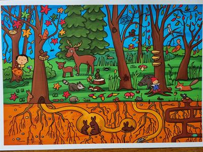 Herfst - Dieren in het bos